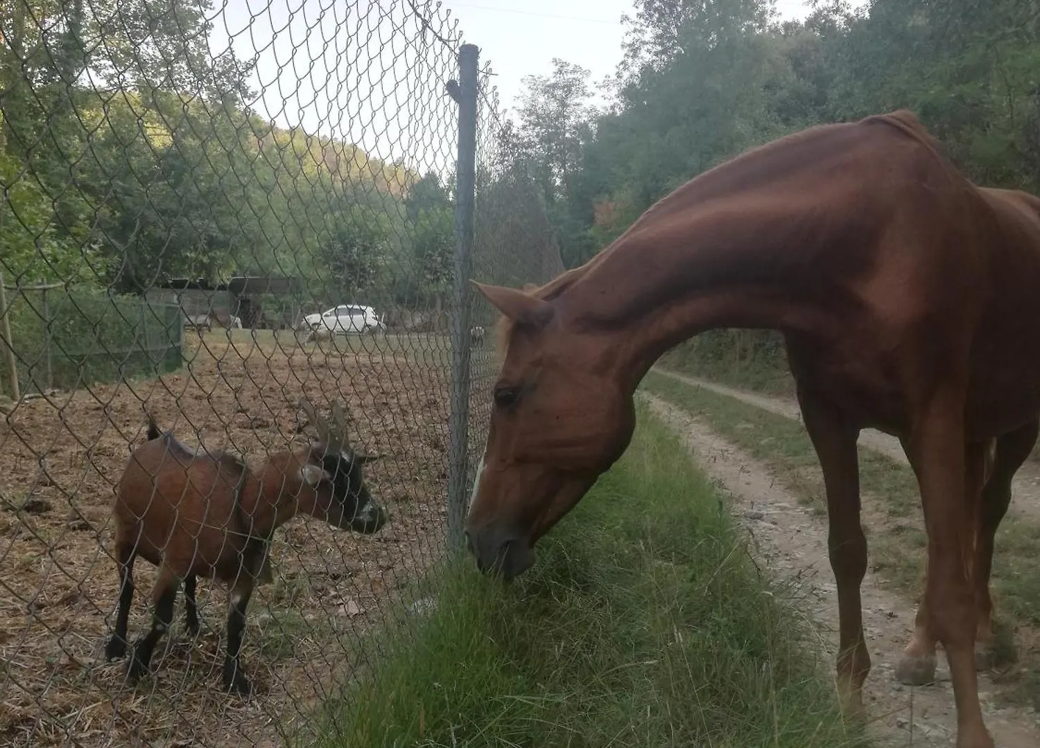 Casa Con Encanto En El Bosque Y A 10 Min De Girona Celrá Tatil Evi